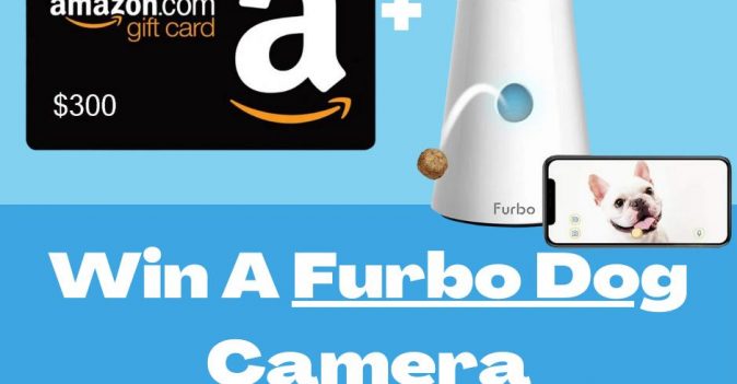 FURBO DOG CAMERA + $300 AMAZON GIFT CARD GIVEAWAY